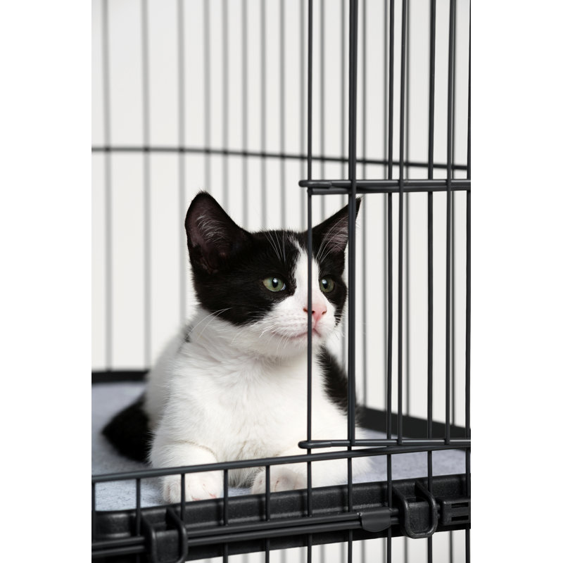 Archie & Oscar™ Elmo Cat Cage with Hammocks & Reviews Wayfair